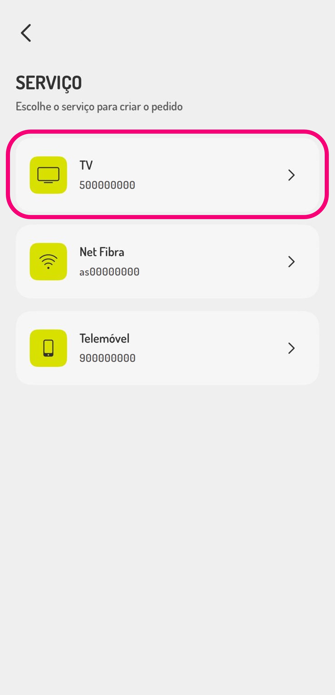ecrã da app my UZO na escolha do serviço UZO para a criação de pedido